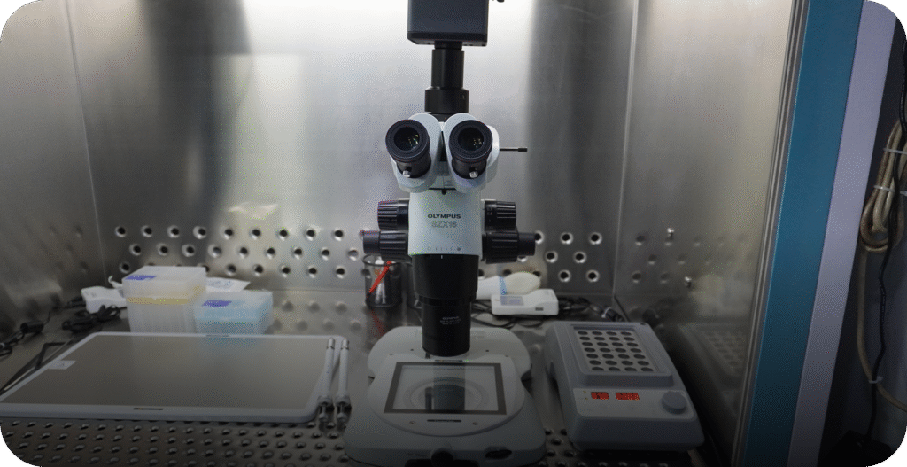 High-resolution Olympus microscope inside a sterile laminar flow hood in the embryology lab. - AAS Fertility