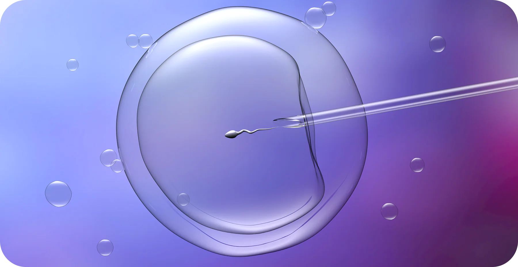 IVF Process - AAS Fertility