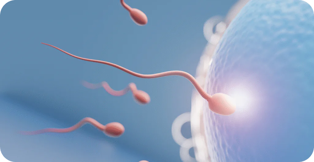 Best IVF Center in Lahore: What Patients Look For - AAS Fertility & IVF Center